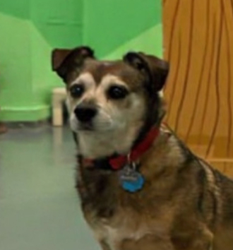 Brandon