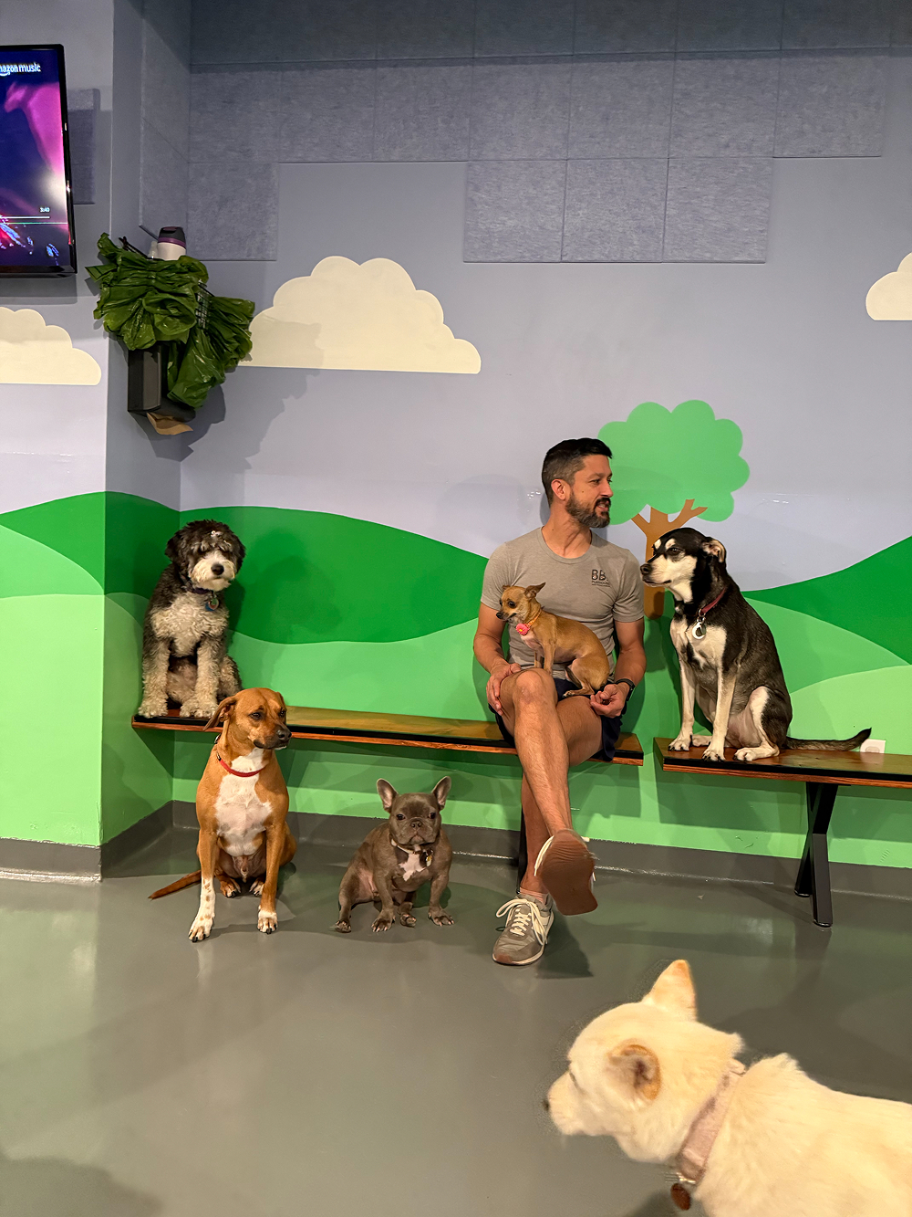 Dog at BB's Playhouse, photo 10 of 20