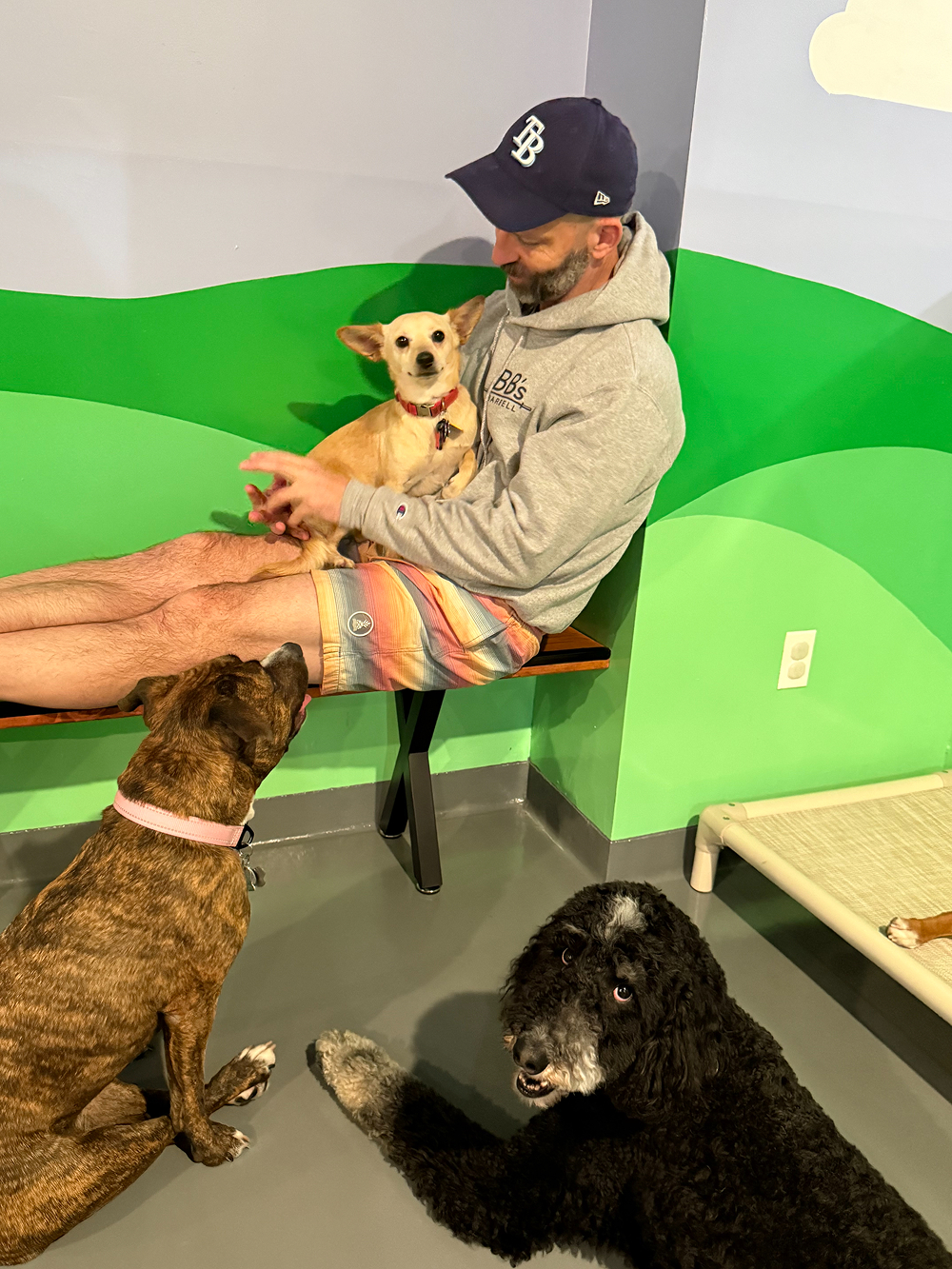 Dog at BB's Playhouse, photo 17 of 20